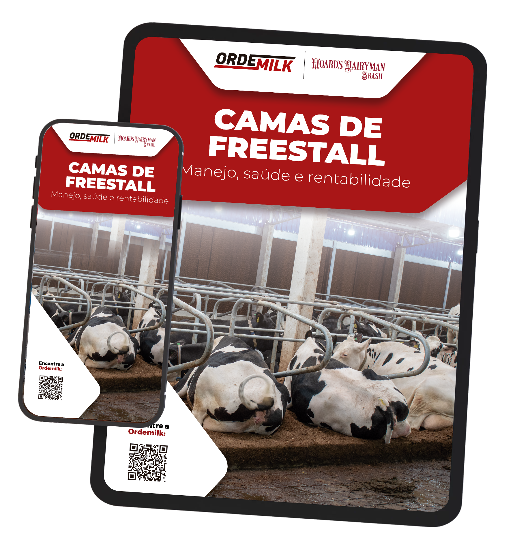 Camas de Free Stall – Manejo, Saúde e Rentabilidade