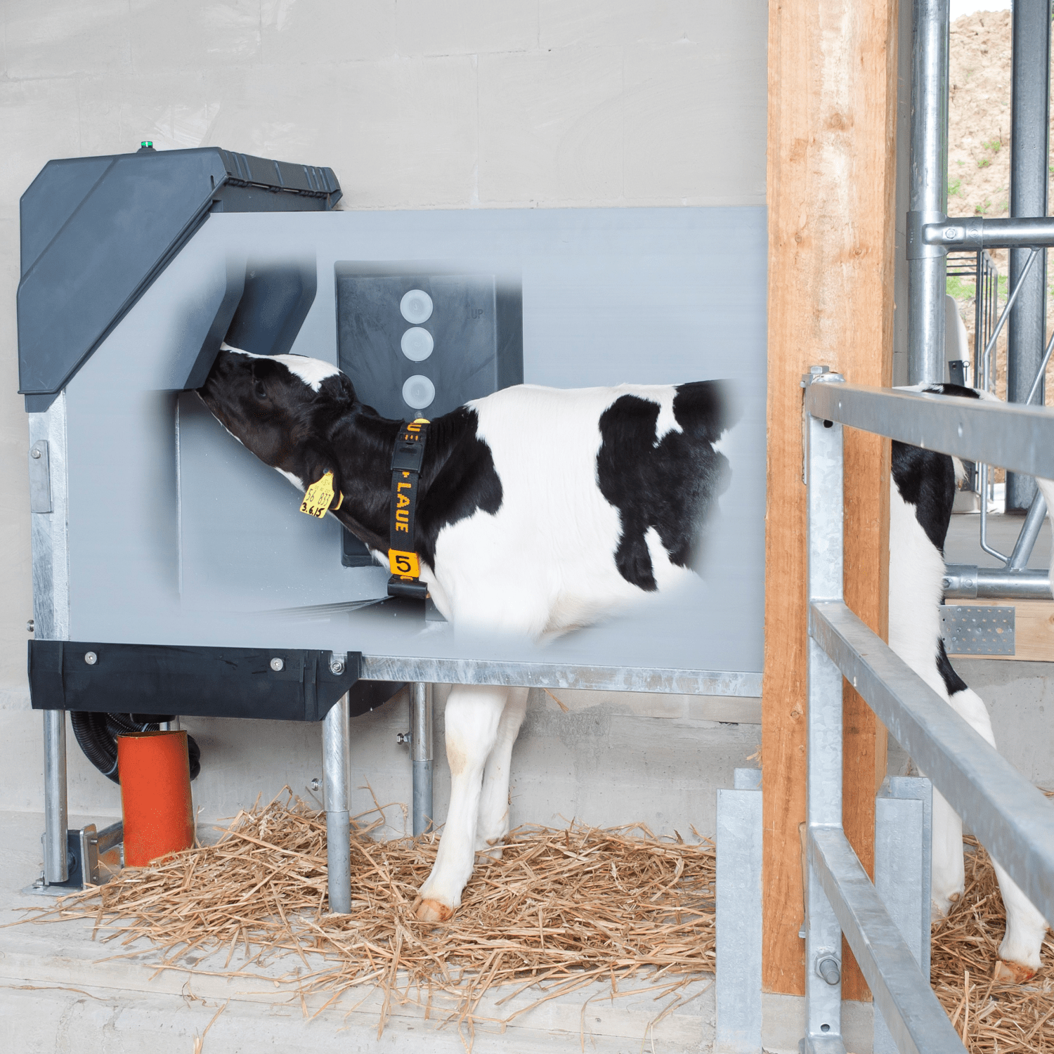Amamentador Calf Expert – Holm & Laue
