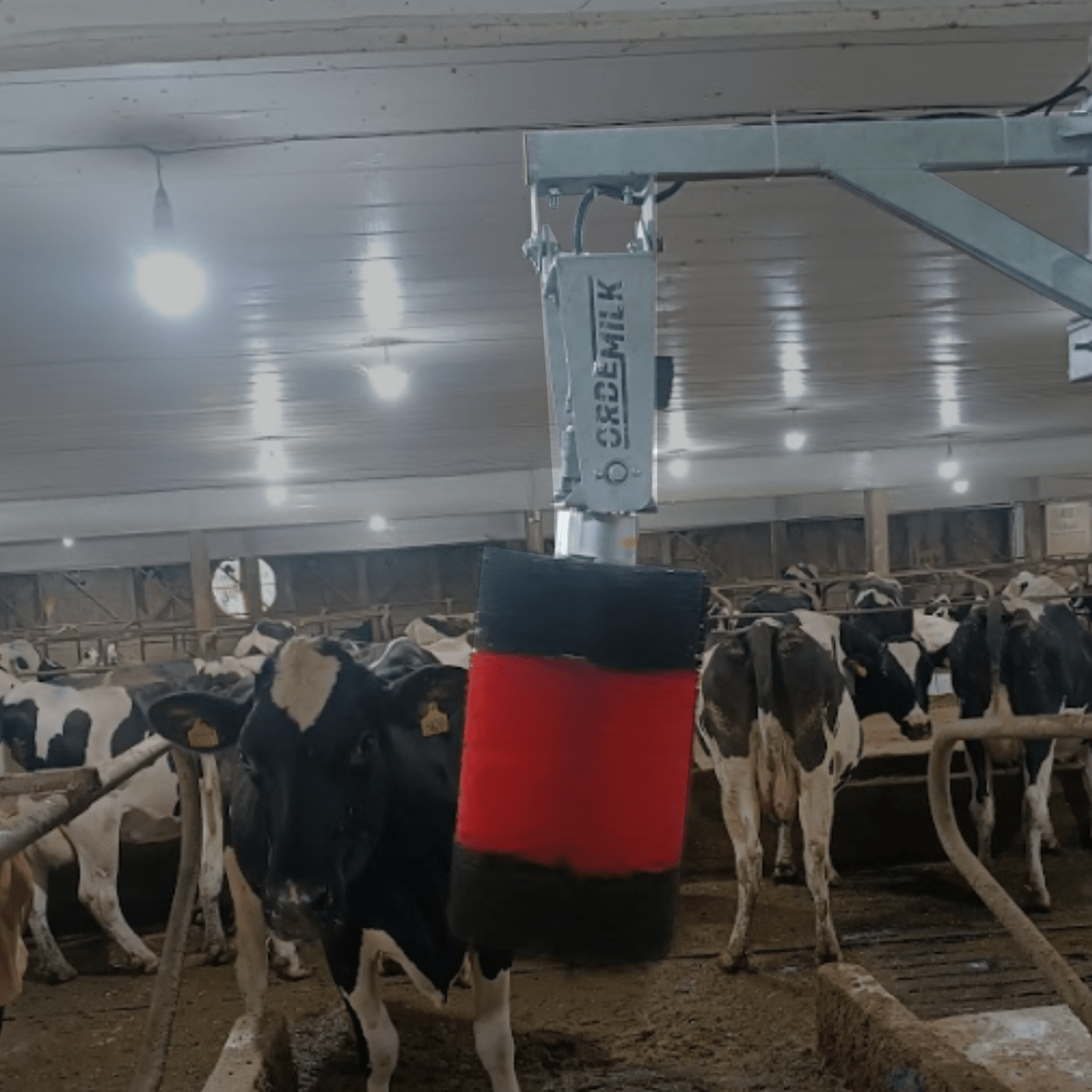 Escova de Coçar para Conforto Animal