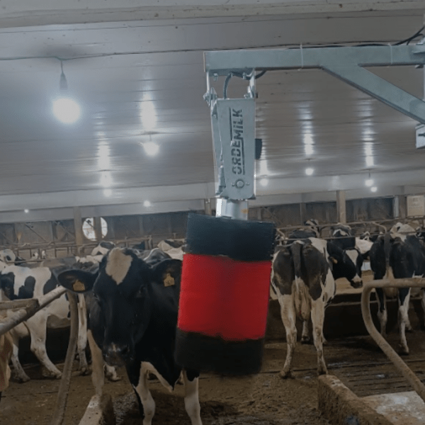 Escova de Coçar para Conforto Animal
