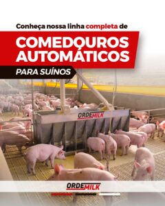 Comedouros automáticos Ordemilk: eficiência que impulsiona